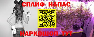 прущие грибы Волжский
