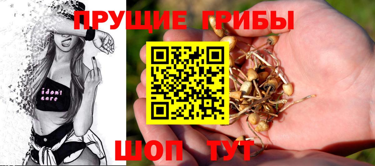 Галлюциногенные грибы мухоморы Можайск