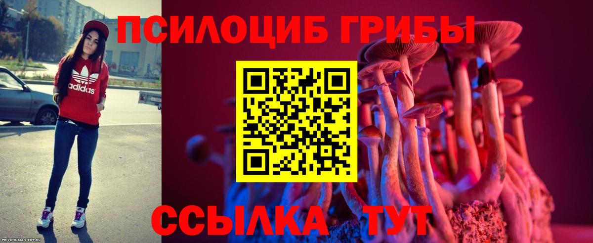 Галлюциногенные грибы ЛСД  где найти наркотики  Вход с VPN  Можайск  Псилоцибиновые грибы MAGIC MUSHROOMS 